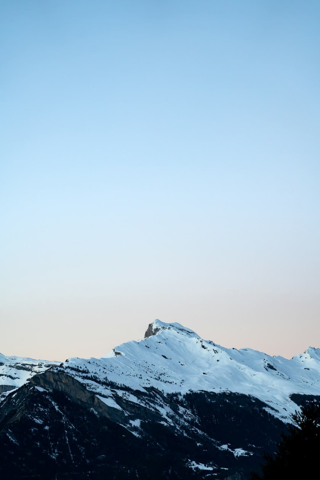 https://p4.img.cctvpic.com/photoworkspace/contentimg/2025/09/06/2025090606155917492.jpg